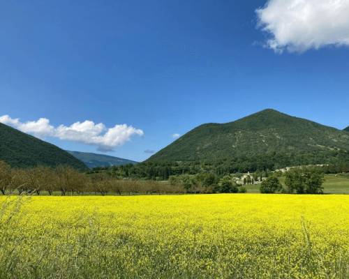 MAIRIE DE VESC - LE VILLAGE - MT